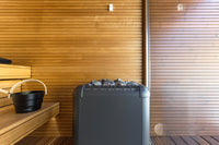 Auroom Natura sauna interior with front window view